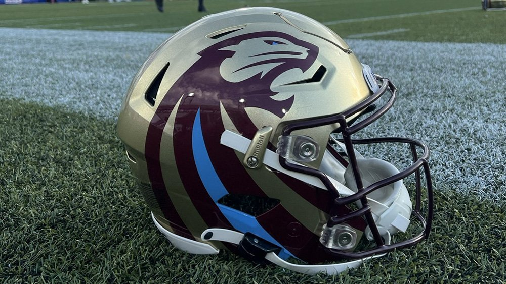 Michigan Panthers Football Helmet